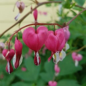 Meet your Posher, Juatina